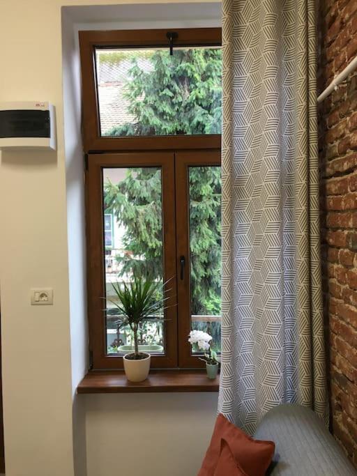 Ferdinand Art Studio Cluj-Napoca Luaran gambar